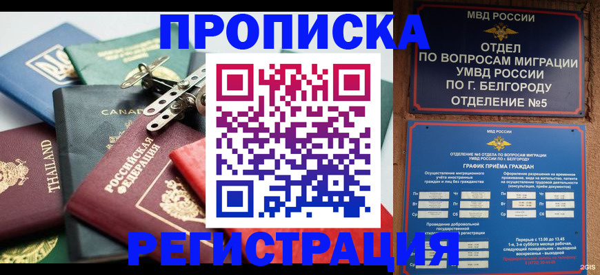 временная регистрация недорого в Светлограде
